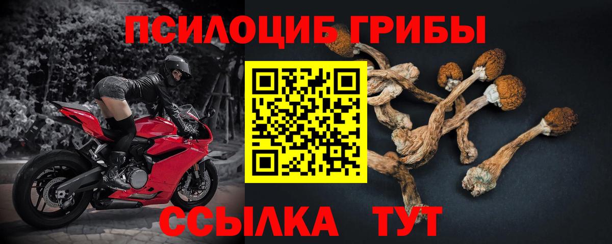 Нижневартовск  Галлюциногенные грибы мухоморы  Вход с VPN  Псилоцибиновые грибы GOLDEN TEACHER 